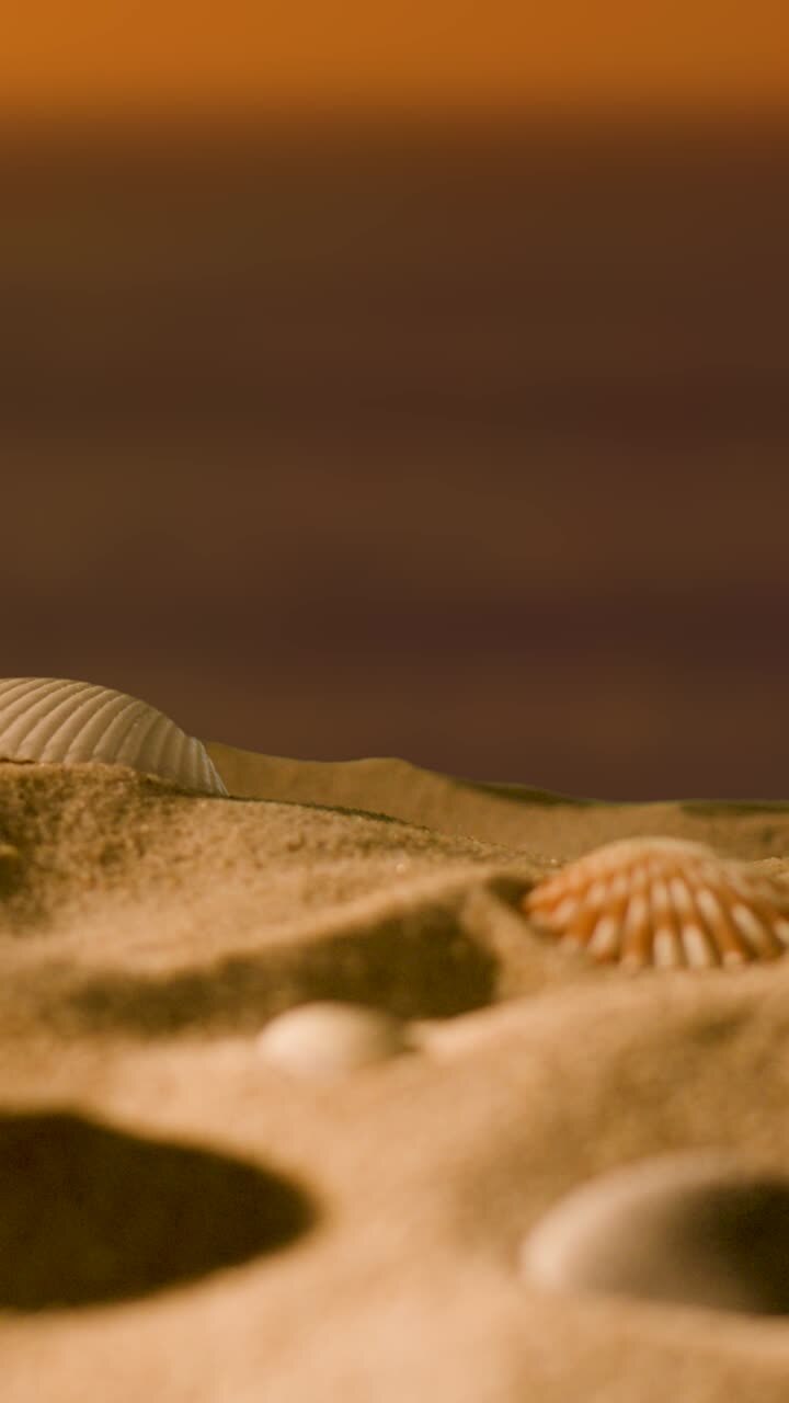 Vidéo verticale : Concept de vacances d'été avec coquillages et étoiles de mer sur une plage de sable, sur fond de mer et de ciel au coucher du soleil.