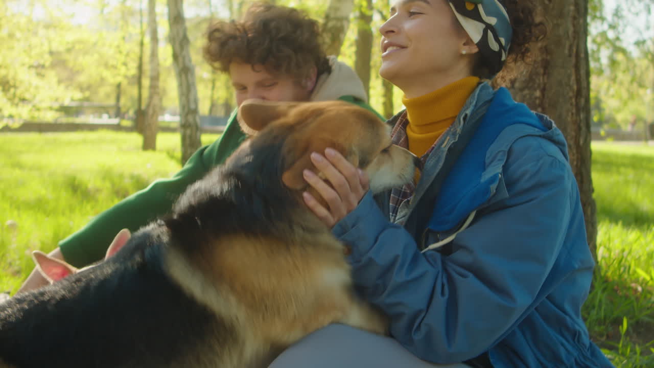 A couple enjoying a sunny day in the park with their two dogs