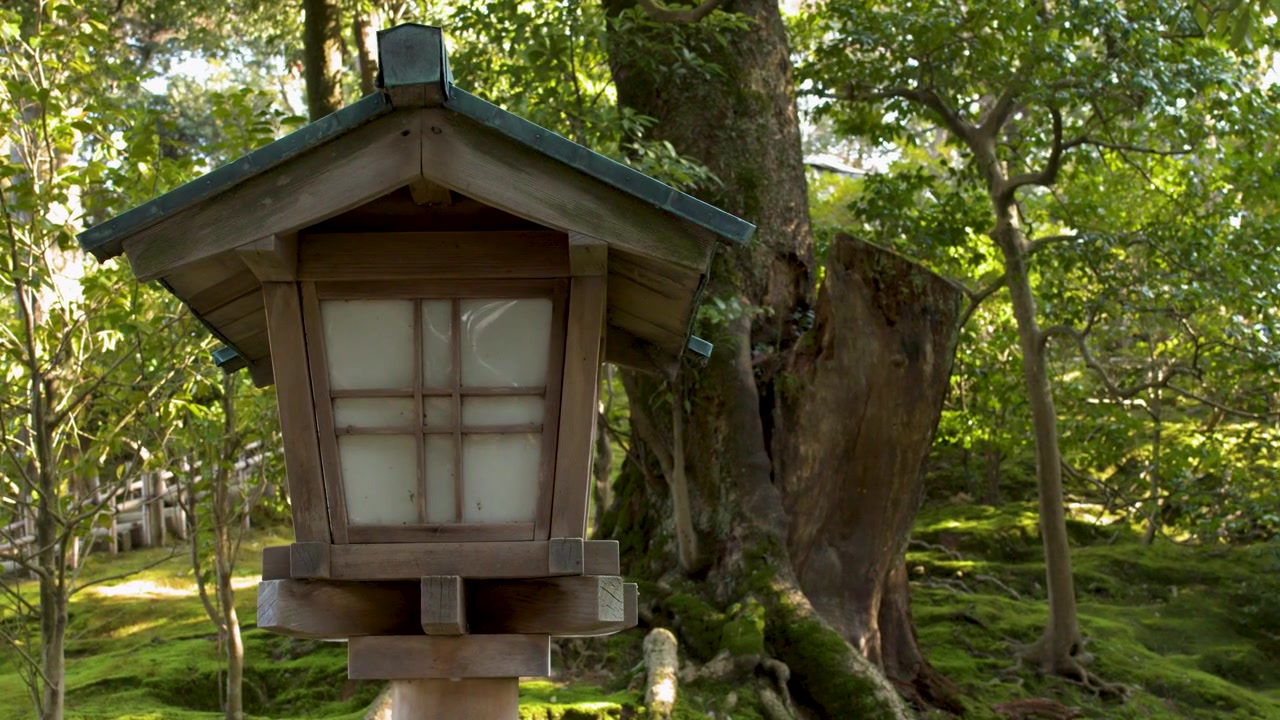 Traditional Japanese Wooden Lantern in a Serene Mossy Garden