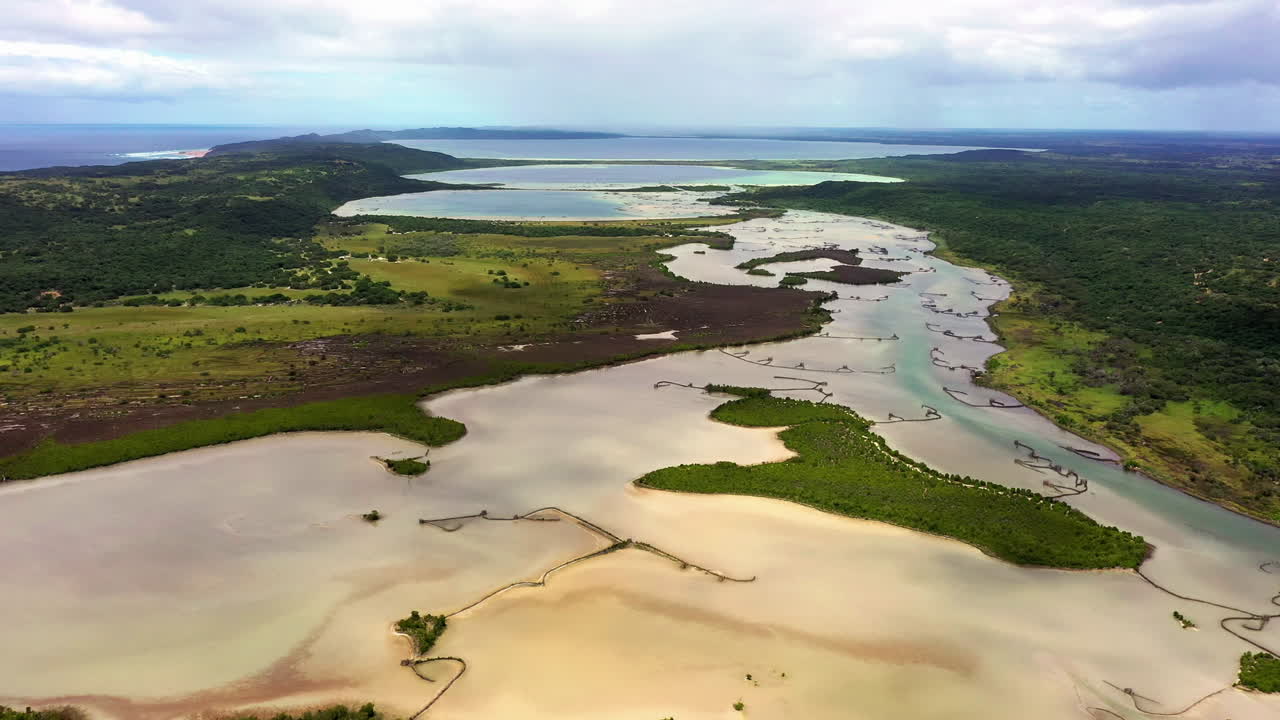 You're in the wetlands now