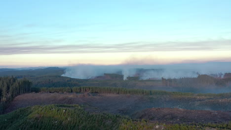 deforestation and slash burning in coos county, oregon