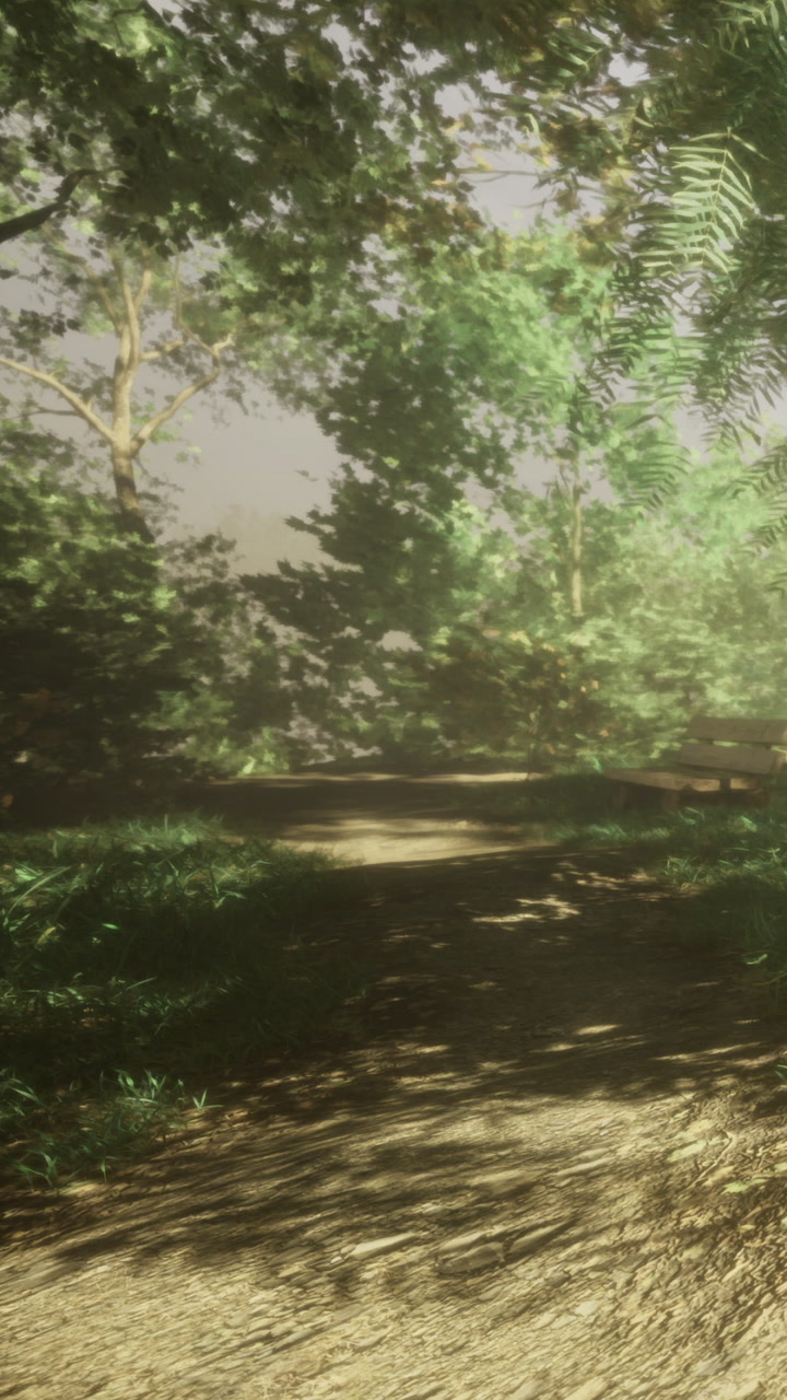 Path in a green forest with sunlight shining through trees