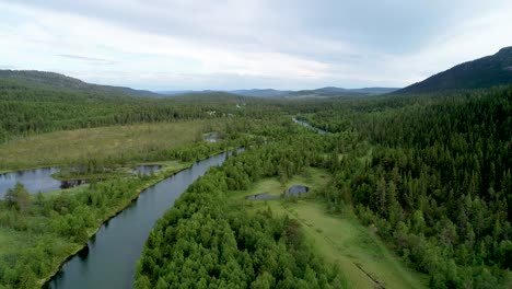 descending on a river passing through a green lush forest landscape