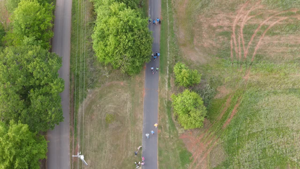 마라톤 5k 동안 주자와 개 그룹