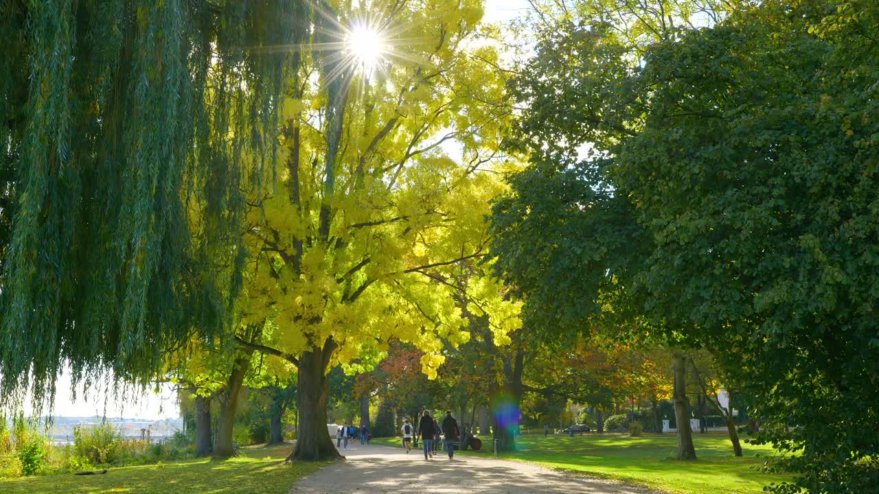 Beautiful green park in sunlight with pedestrians