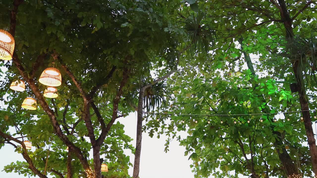 Trees and lights create a serene beach atmosphere