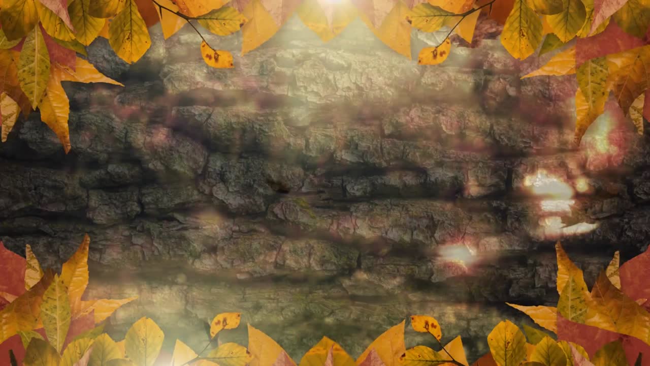 marco y la caída de las hojas de otoño 4k