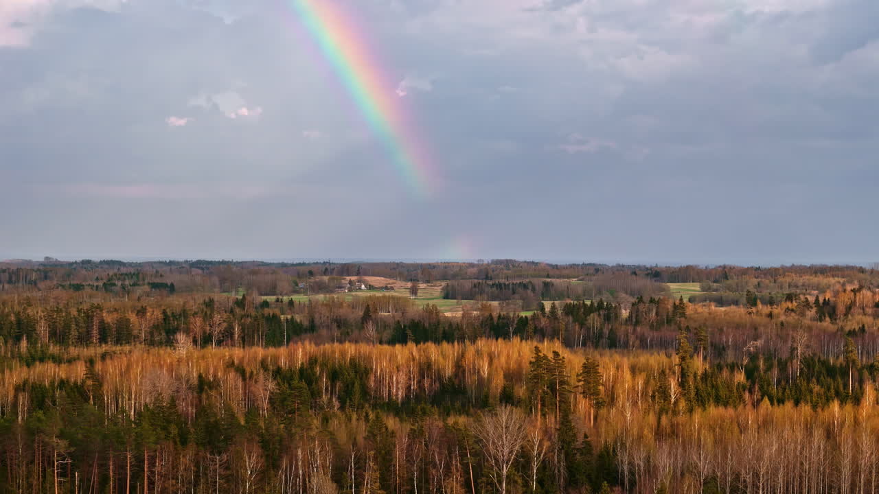 Rainbow sky over forest land, Aerial view