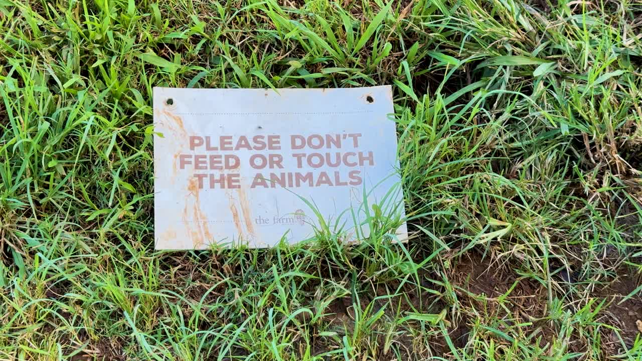 A stationary close-up shot of a weathered metal sign on grass reads 'Please Don't Feed or Touch the Animals' in natural daylight, with minimal camera movement