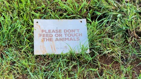 a stationary close-up shot of a weathered metal sign on grass reads 'please don't feed or touch the animals' in natural daylight, with minimal camera movement
