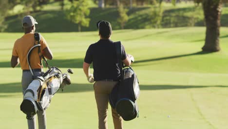 video of back view of diverse male friends walking on golf field