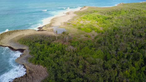 波多黎各的皮诺内斯 (pinones) 的普塔瓦西亚塔莱加 (punta vacia talega)