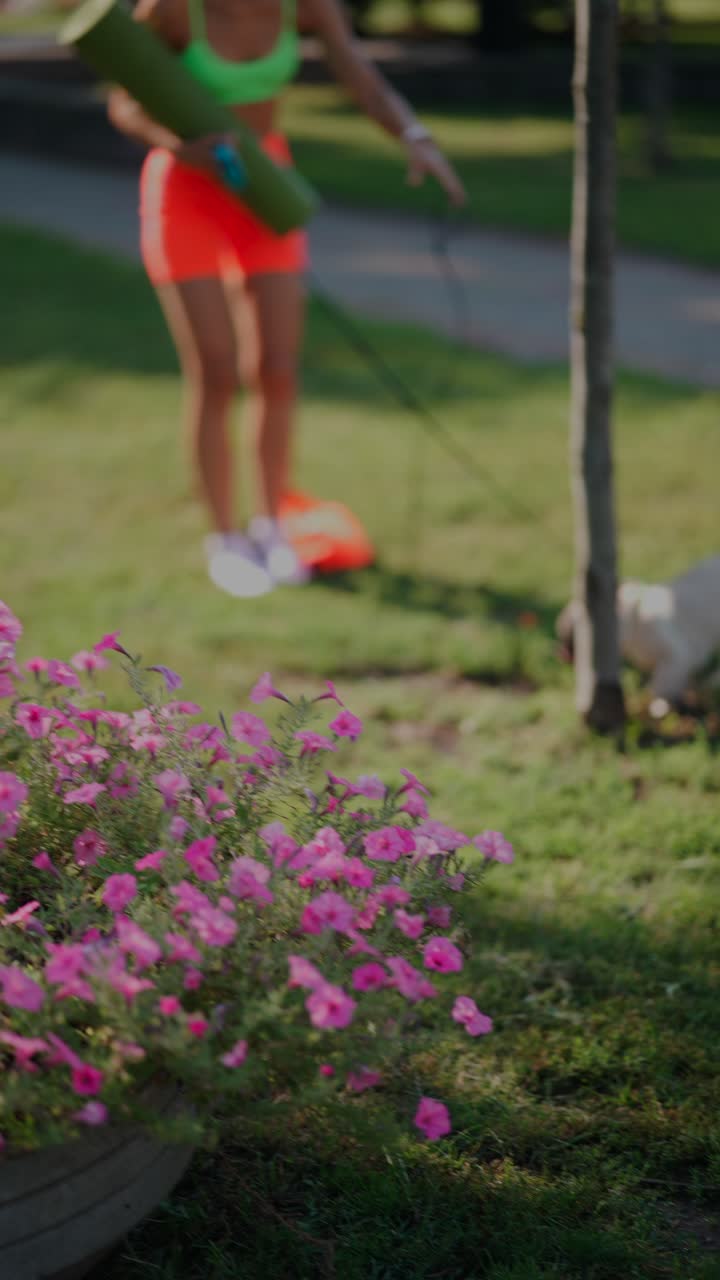 escena del parque con perro y mujer