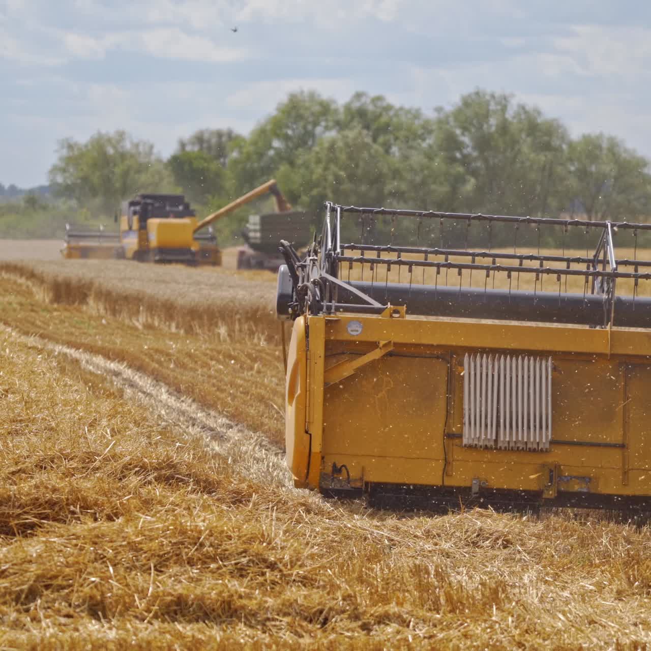 Agricultural works on the yellow field in summer. Modern equipment of machinery working in the countryside. Combine harvester gathering ripe grains.