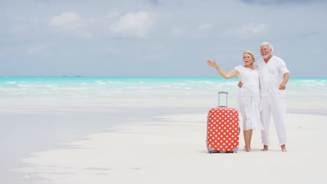 coppia di anziani in pensione sulla spiaggia con i bagagli da viaggio