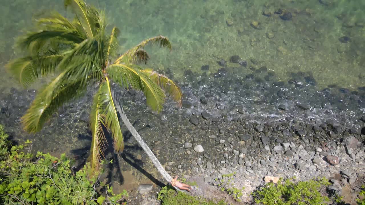 핑크색 비키니와  모자 를 입은 여자 가 바가 의 해변 에 있는  나무  에 포즈 를 취 하고 있다