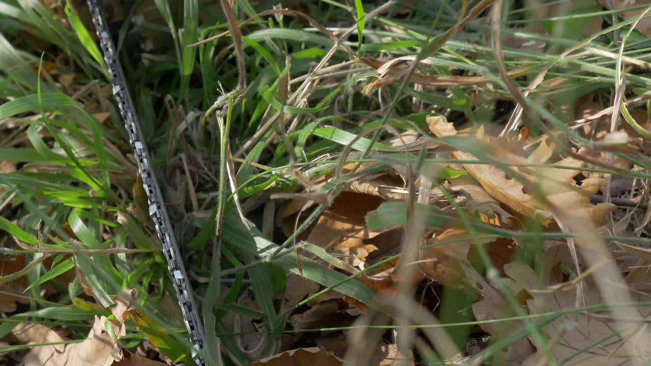 잔디에서 체인 클로즈업 4k