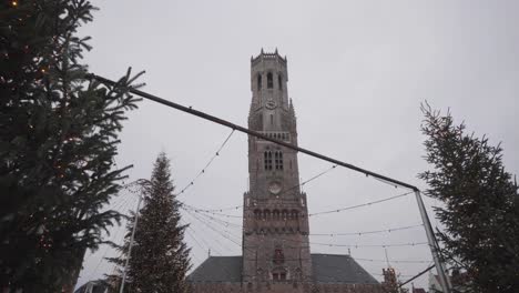 low wide shot of christmas trees and belfry on the market square in bruges, belgium