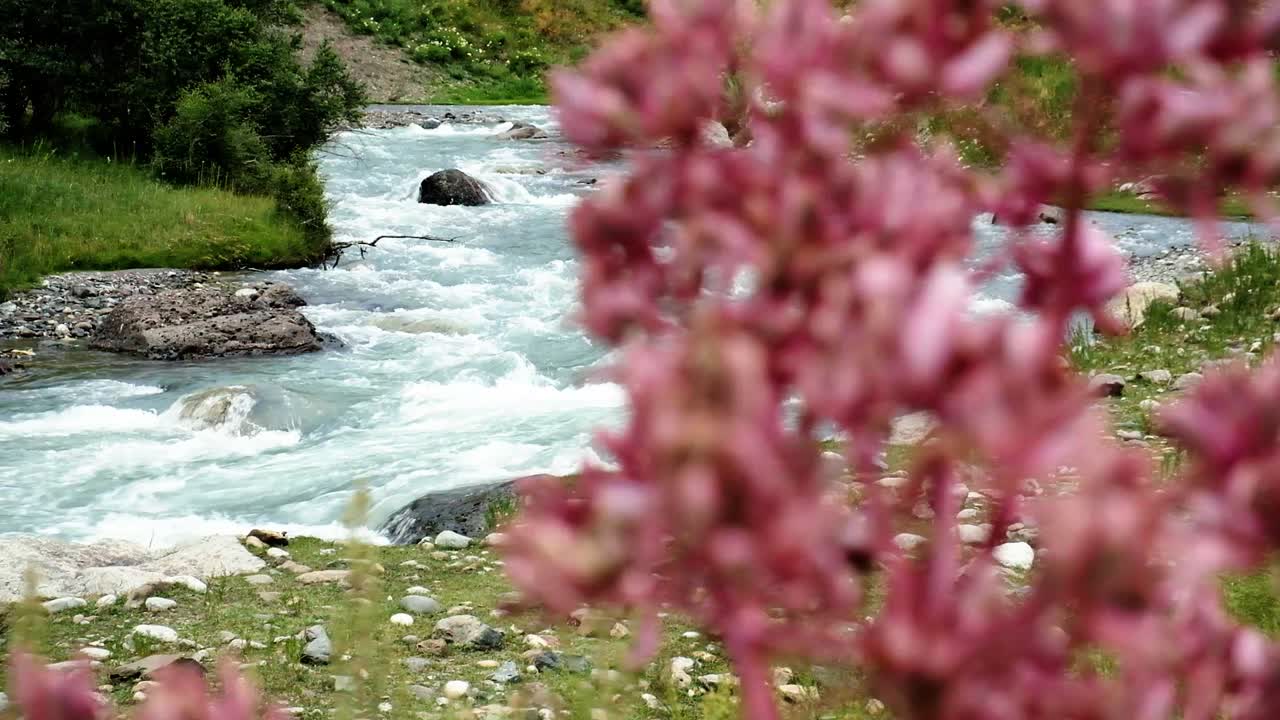 flowing rivers in the valley of Kyrgyzstan