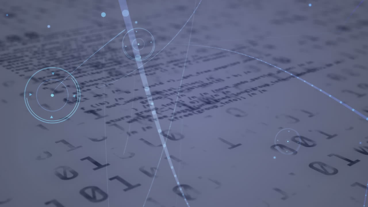 바이너리 코딩으로 연결 네트워크의 애니메이션