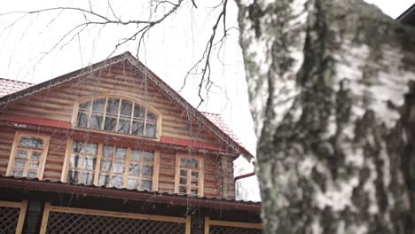 rustic wooden house in winter