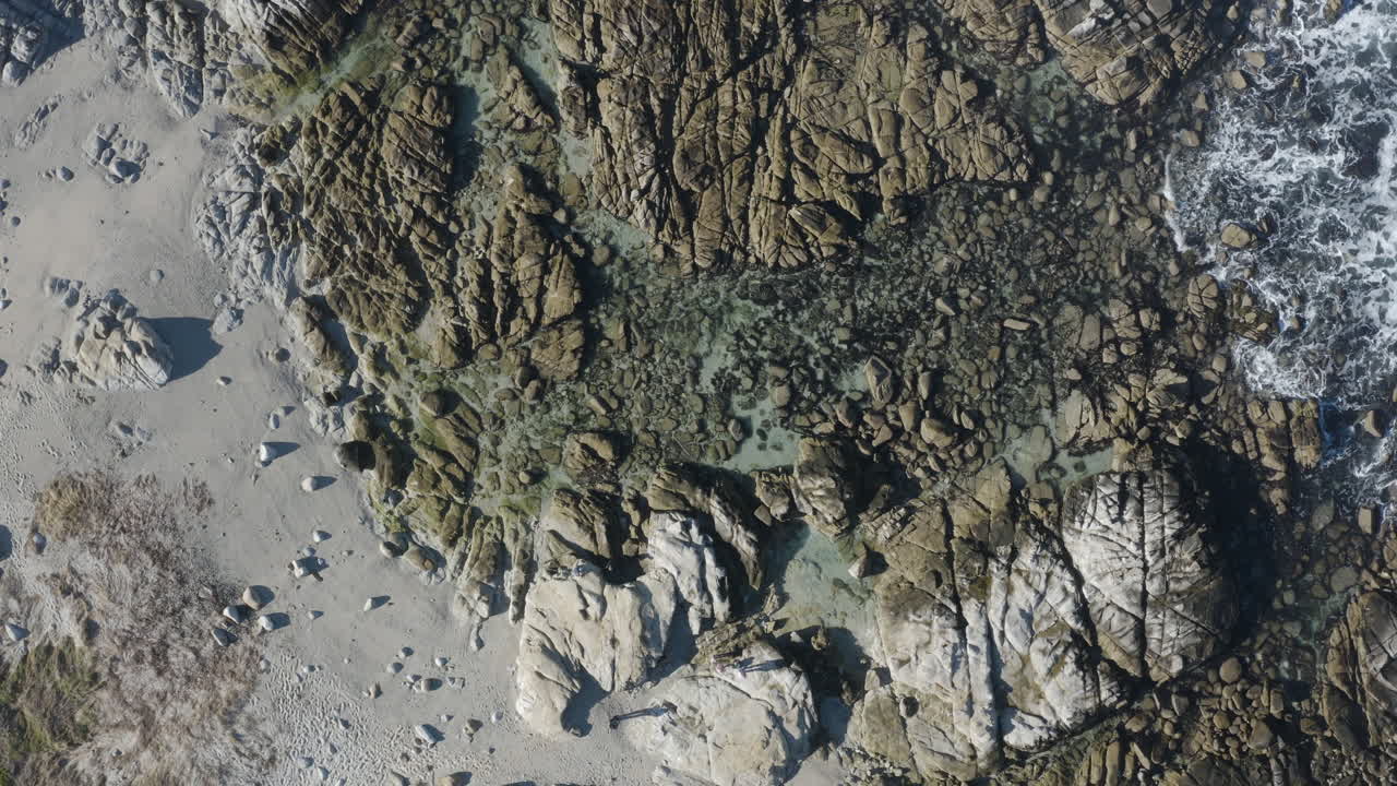 캘리포니아의 몬테레이 만을 따라 태평양 그로브의 포인트 피노스 (point pinos) 에 있는 아름다운 조류 연못의 4k 오버헤드 (overhead)