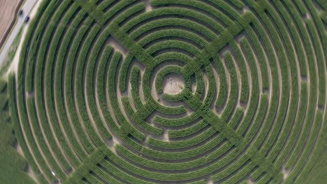 Sich-Drehende-Vogelperspektive-Des-Labyrinths,-Das-In-Ein-Maisfeld-Geschnitten-Wird