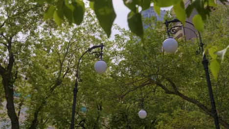 city park scene with street lamps