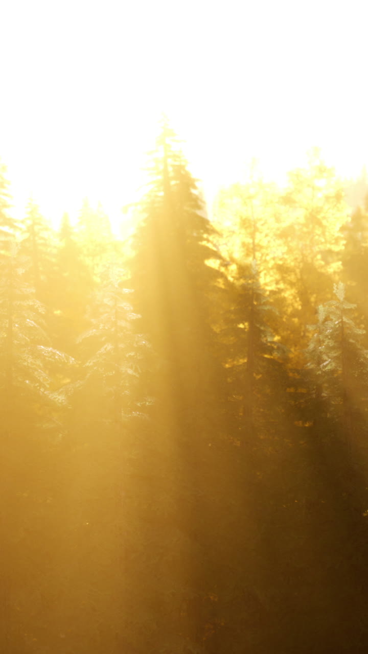 осенний пейзаж с желтым горным лесом