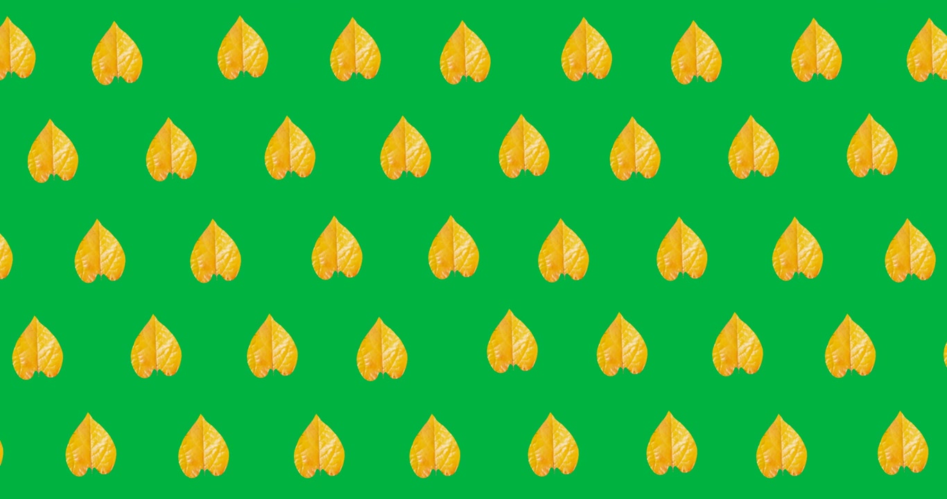 Digital animation of multiple yellow autumn leaves in seamless pattern against black background
