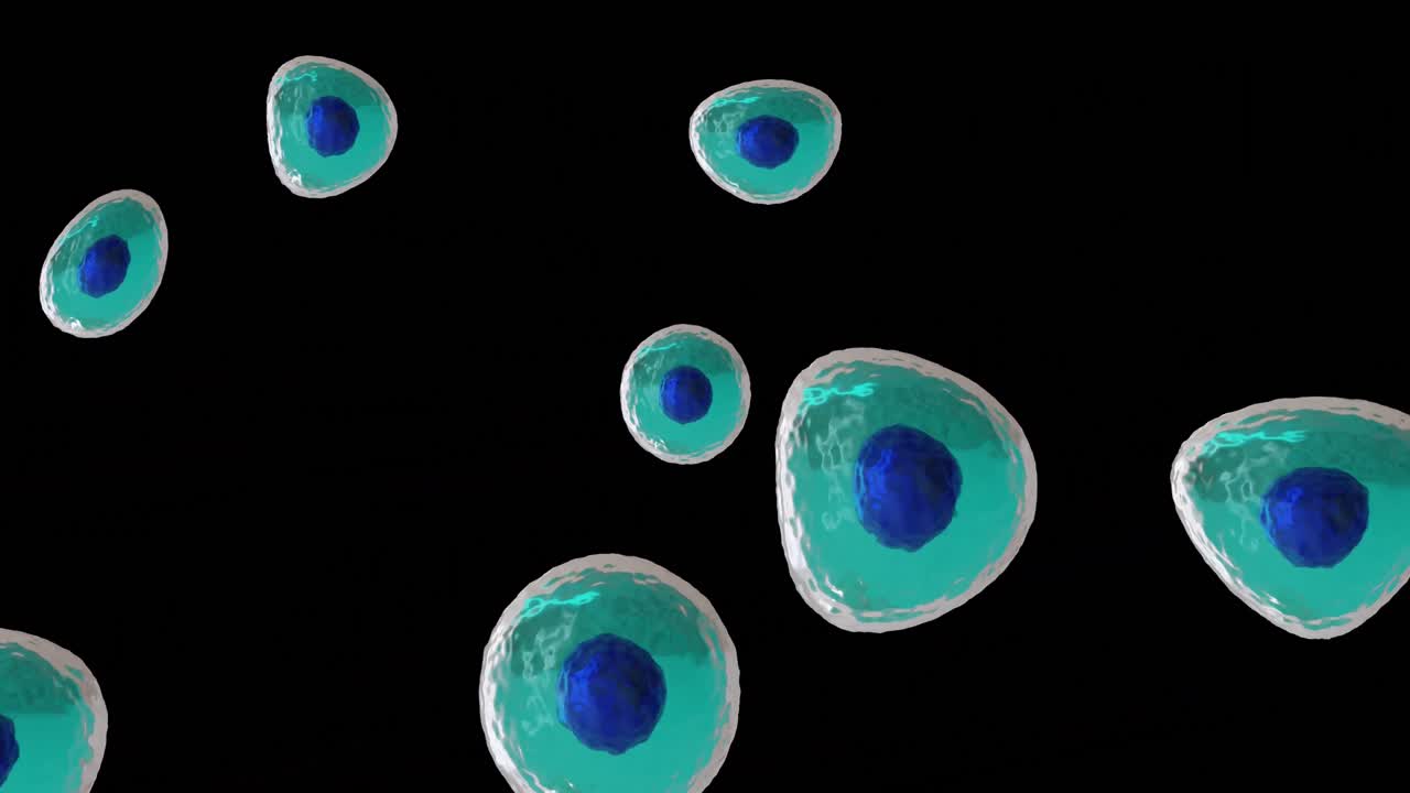 animación de micro de células azules y turquesas sobre fondo negro
