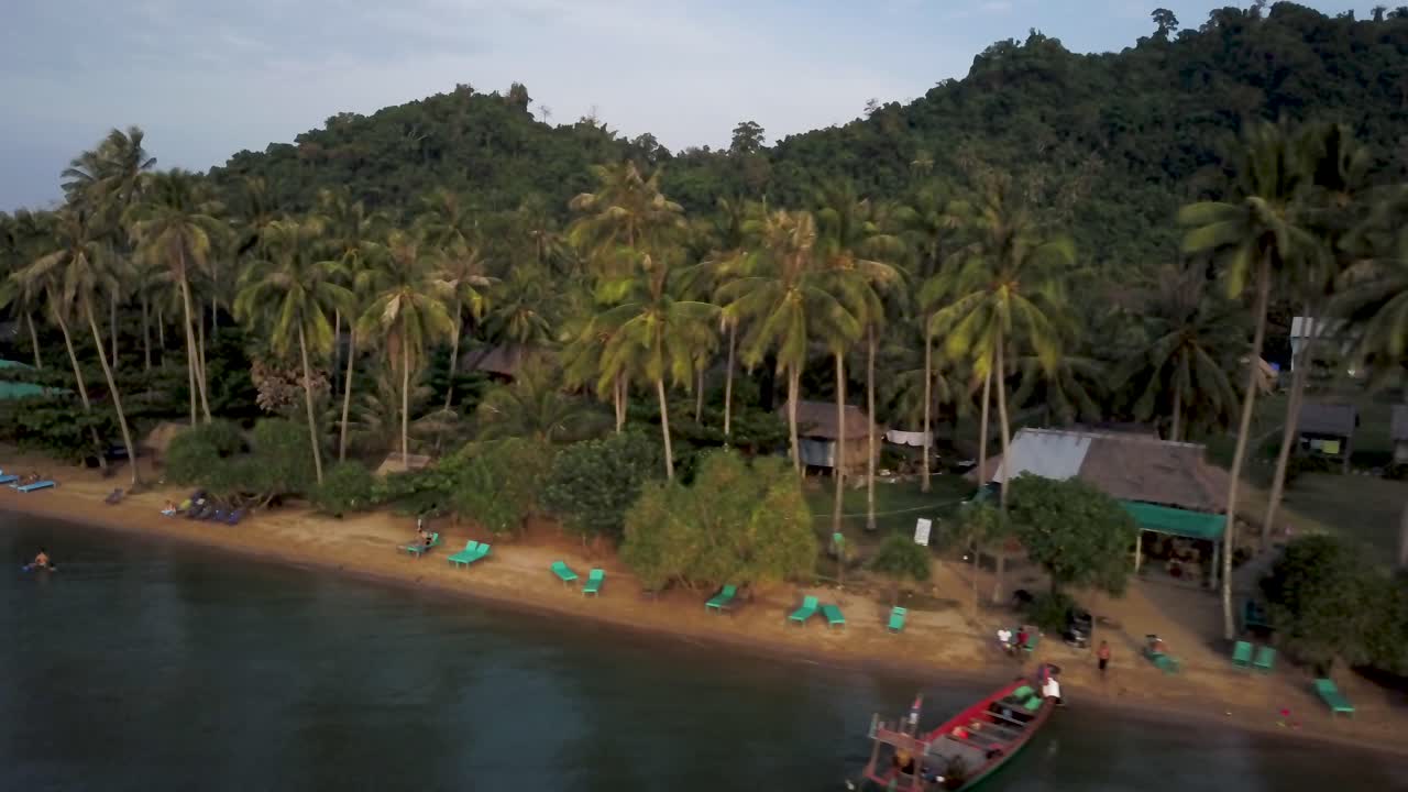 Tropical Beach Scene with Palm Trees and Lush Vegetation