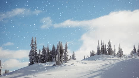 snow falling in countryside