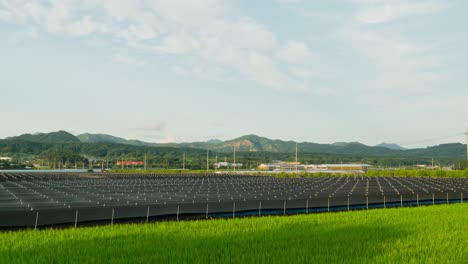 Lapso-De-Tiempo-De-Las-Nubes-Moviéndose-Sobre-La-Granja-De-Ginseng-Coreano-Y-Los-Campos-De-Arroz-Durante-El-Día-En-Geumsan,-Provincia-De-Chungcheong,-Corea-Del-Sur