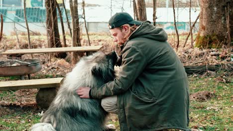 Aquí-Un-Wolfsspitz-Gris-Y-Muy-Esponjoso-Es-Alimentado-Con-Una-Golosina-De-Su-Amigo