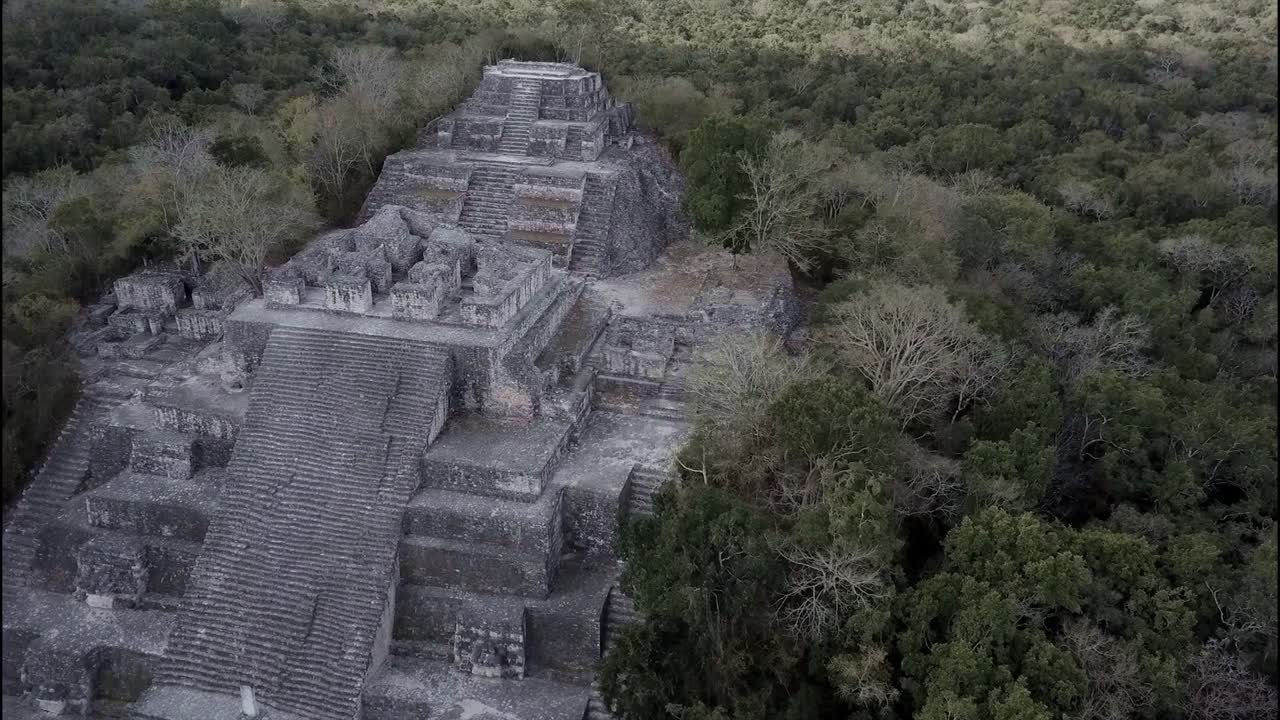 hermoso vuelo aéreo alrededor del templo maya de calakmul en el yucatán mexicano