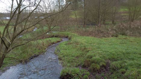 Tranquil Stream in the Countryside