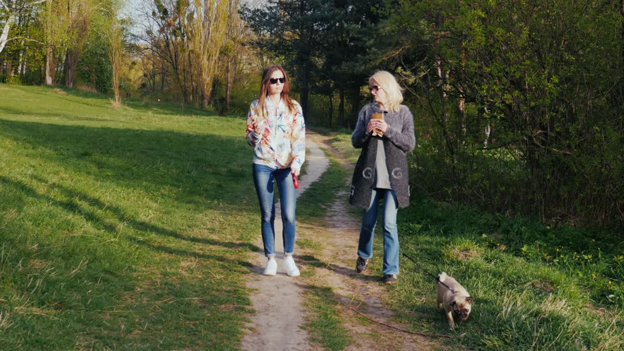 dos mujeres están caminando en el parque con un perro pug. comunicarse, pasar un buen rato