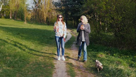 two women are walking in the park with a pug dog. communicate, have a good time