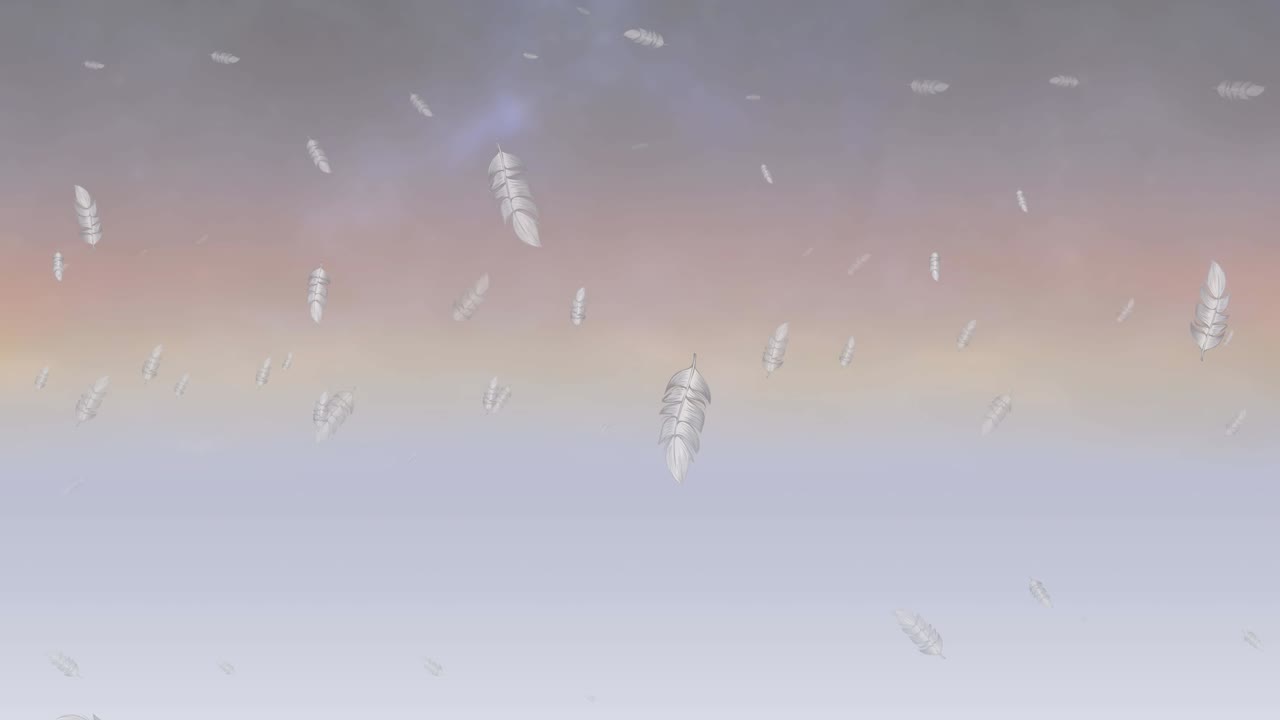 하 새 털이 구름 은 일몰 배경에 떨어지는 애니메이션