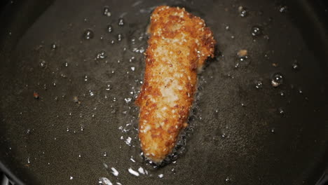 single crumbed breast chicken tenderloin fried in peanut oil in a pan