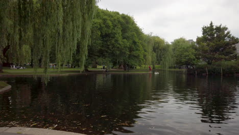 lago dentro de los jardines de boston