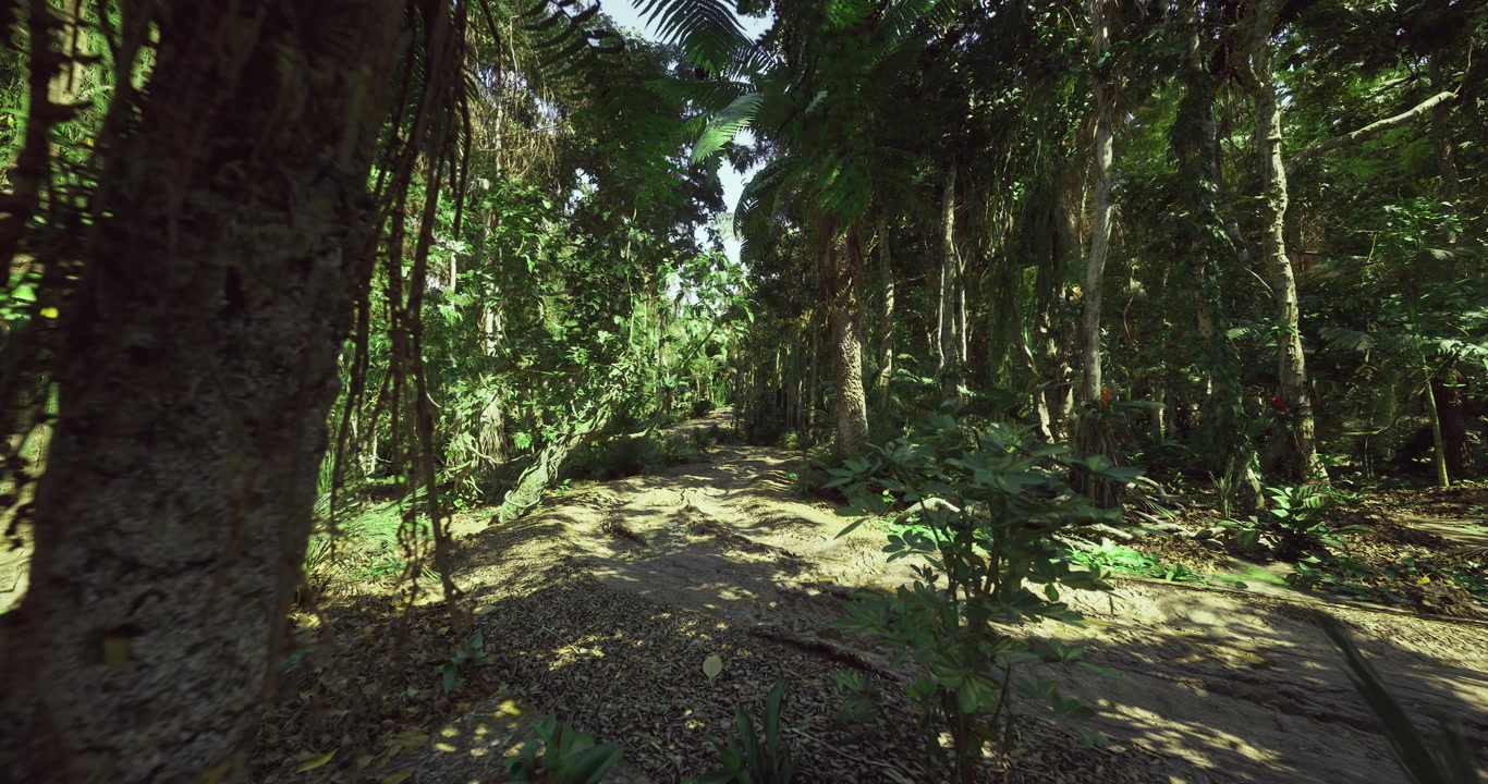 Radiant journey ascending vibrant rainforests towards scenic overlook