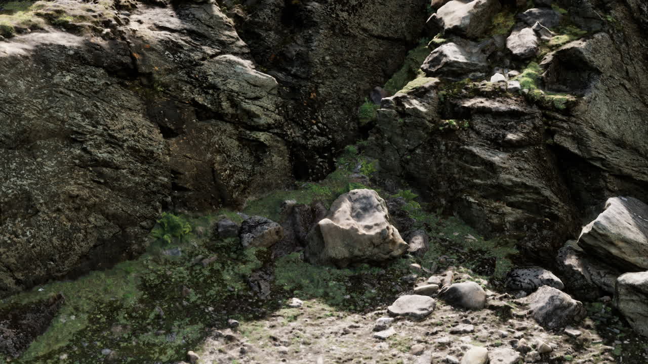 바위 돌 형성이 가까이 있습니다.