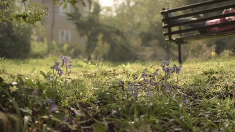 woman resting on park bench in summertime