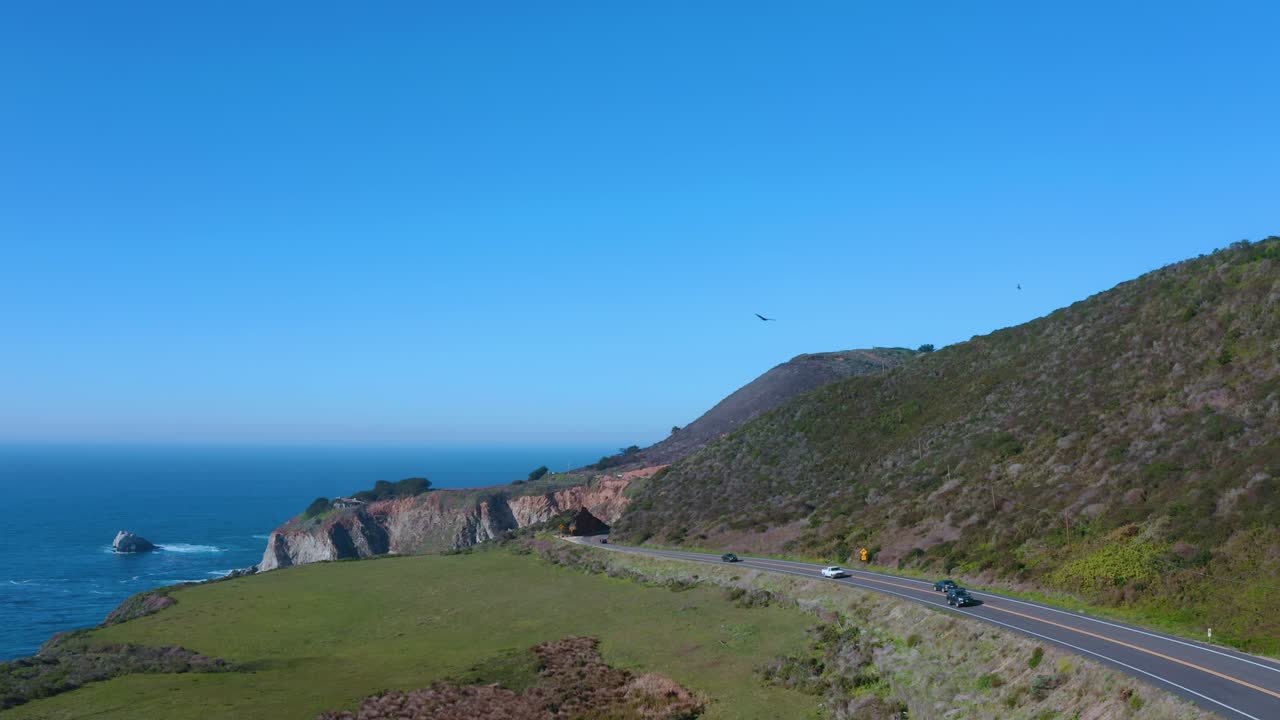 Vultures flying above highway near the ocean.