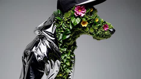 dog fashion portrait with floral and botanical accents