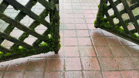 close up shot of opening of rusty ornate iron fence gate with moss