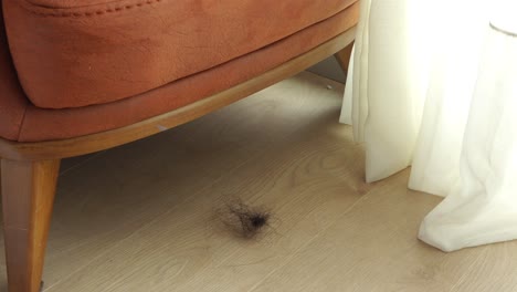 lost hair on wooden floor