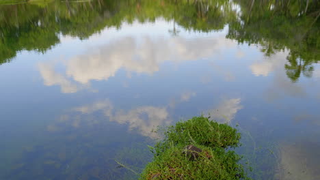 beautiful light ocean view walk to auberge hotel at mauna lani ponds hawaii sunset reflections